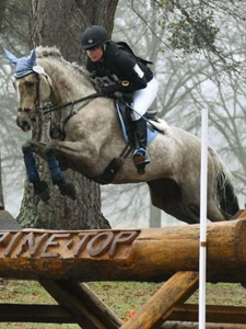 Ashley Carr - Technician - Barrett Equine Lameness - Ocala, FL.