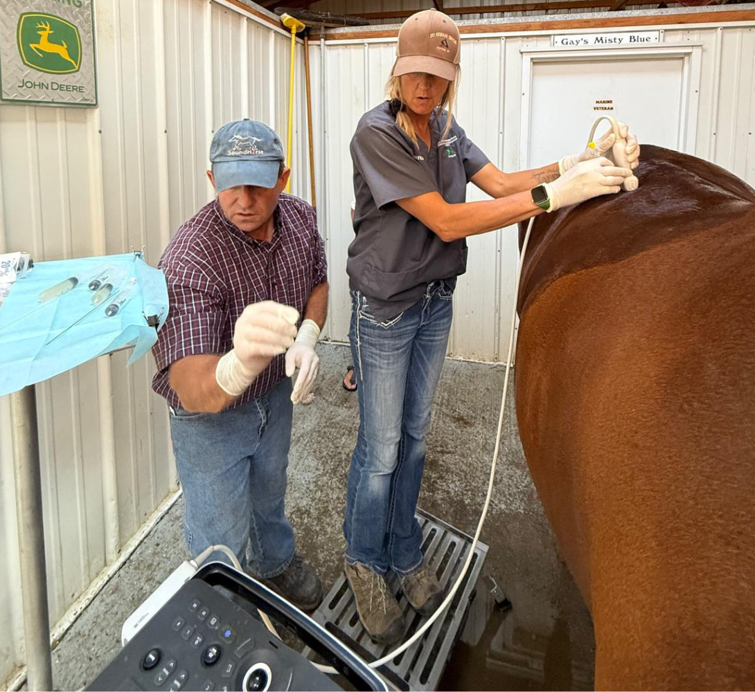 Dr. Brent Barrett of Barrett Equine Lameness - PSOAS - Ocala, FL and Colorado Springs, Colorado, CO 352-456-9824