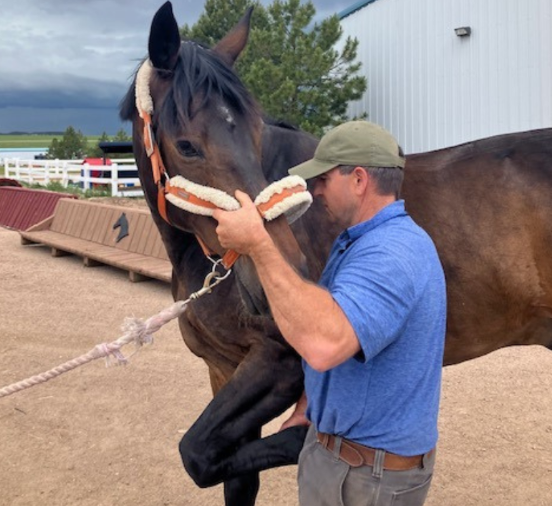Dr. Brent Barrett of Barrett Equine Lameness performing neck flexion test - Ocala, FL and Colorado Springs, CO
