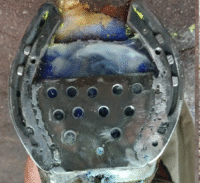 Keratoma Heel Plate - Podiatry - Barrett Equine Lameness - Ocala, FL and Colorado Springs, CO.