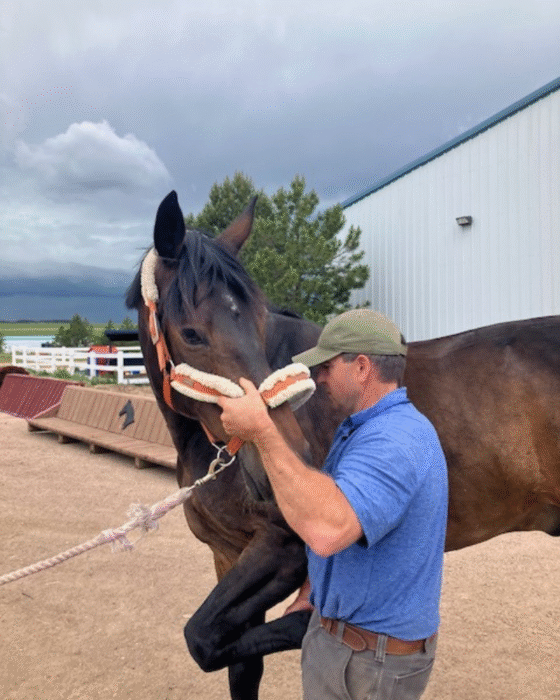 Neck Flexion – Barrett Equine Lameness – Owned by Brent Barret DVM – Ocala, FL and Colorado Springs, CO Neck Flexion - Barrett Equine Lameness - Owned by Brent Barret DVM - Ocala, FL and Colorado Springs, CO