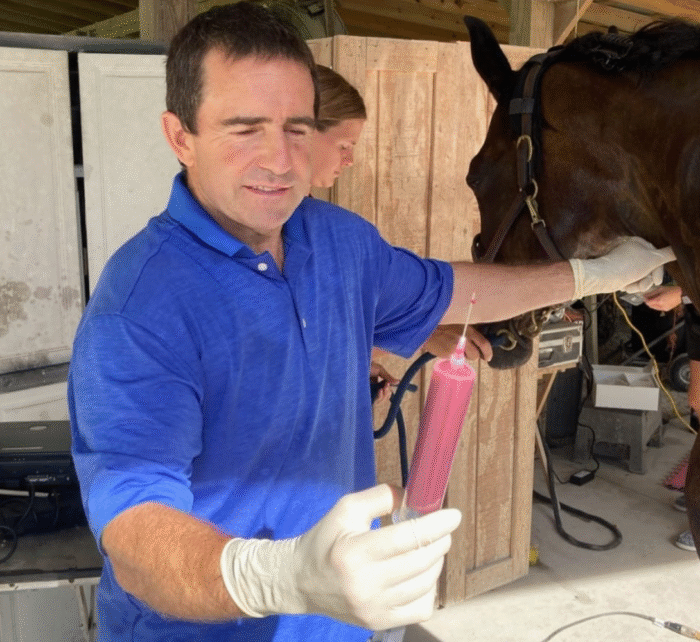 PRP Draw - Regenerative Therapies - Dr. Brent Barrett DVM - Barrett Equine Lameness - Ocala, FL and Colorado Springs, Colorado