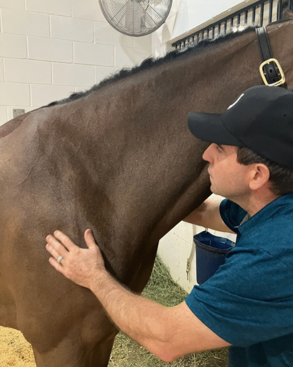 Performing an abaxial block – Barrett Equine Lameness – Owned by Brent Barret DVM, CJF – Ocala, FL and Colorado Springs, CO. Performing an abaxial block - Barrett Equine Lameness - Owned by Brent Barret DVM, CJF - Ocala, FL and Colorado Springs, CO.