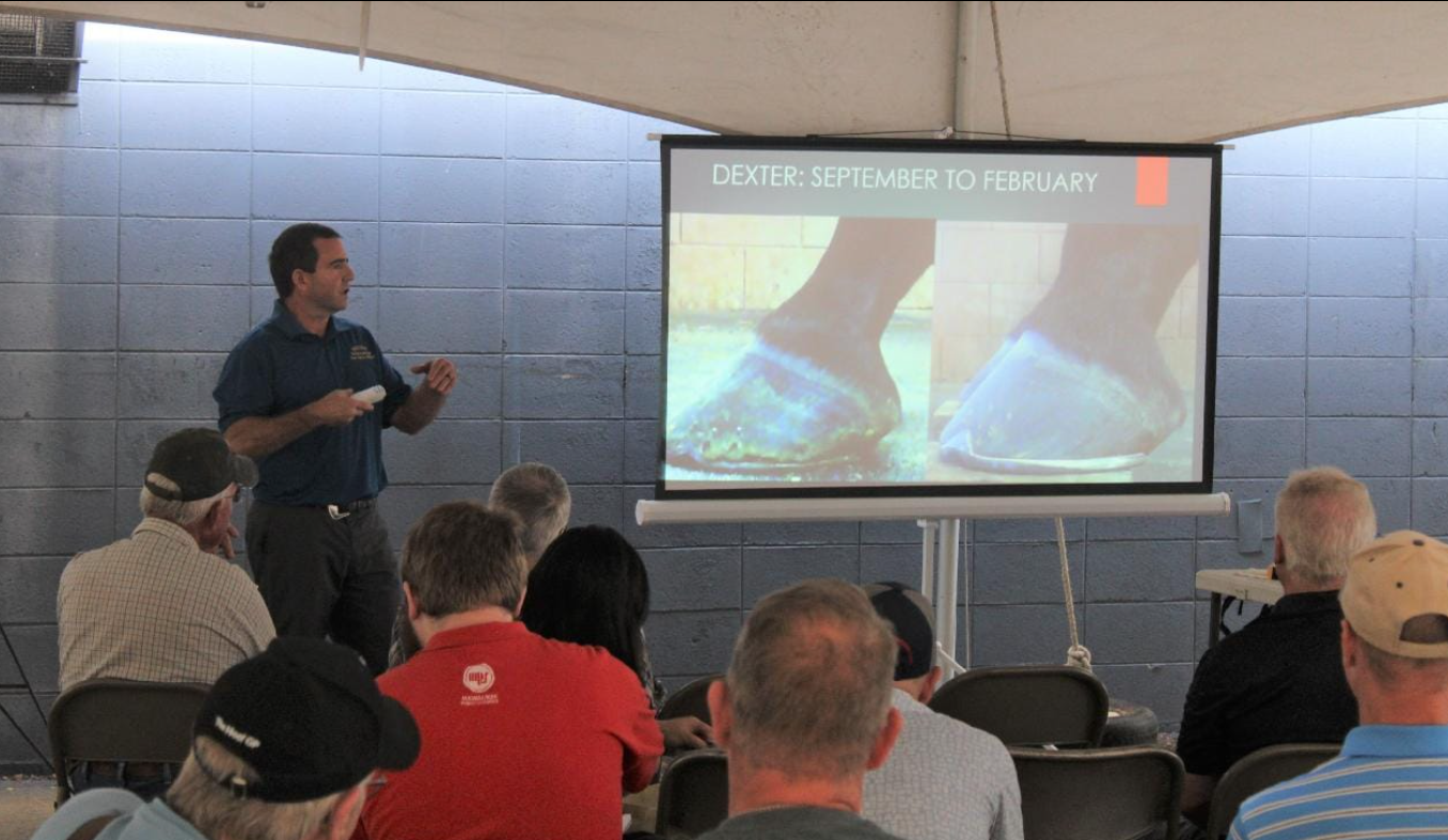 Podiatry Lecture – Dr. Brent Barrett DVM of Barrett Equine Lameness – Ocala, FL and Colorado Springs, CO Podiatry Lecture - Dr. Brent Barrett DVM of Barrett Equine Lameness - Ocala, FL and Colorado Springs, CO