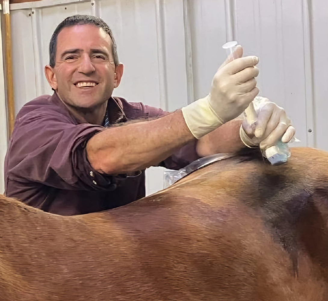 SI Injection - Barrett Equine Lameness - Brent Barrett DVM - Ocala, FL and Colorado Springs, CO